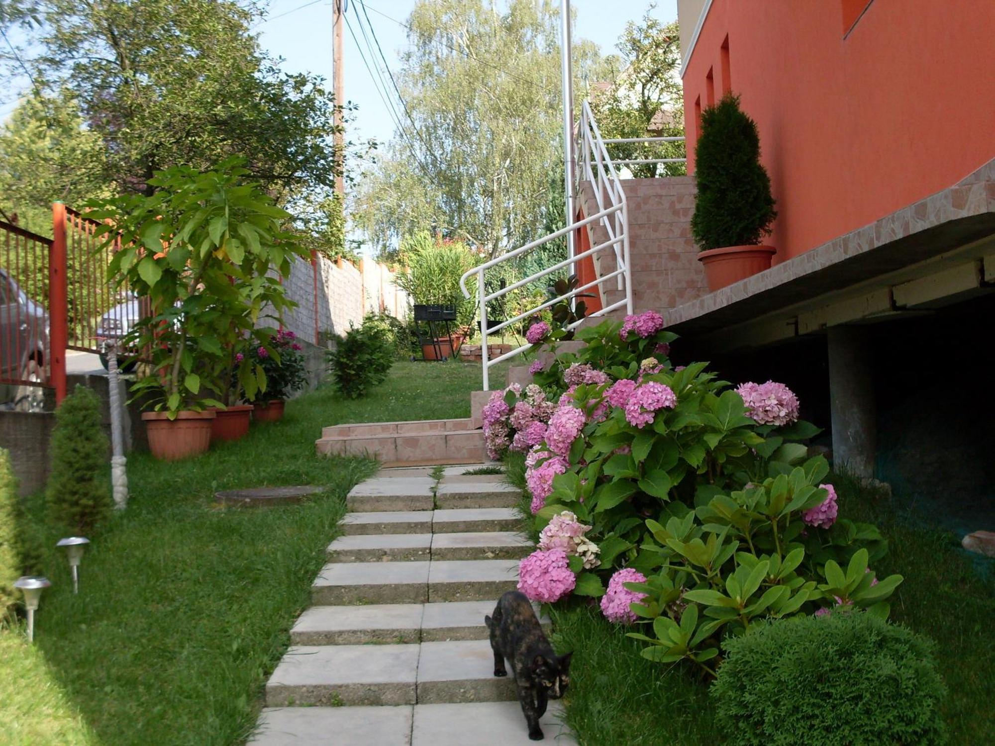 Eden Vendeghaz Ξενοδοχείο Μίσκολτς Εξωτερικό φωτογραφία